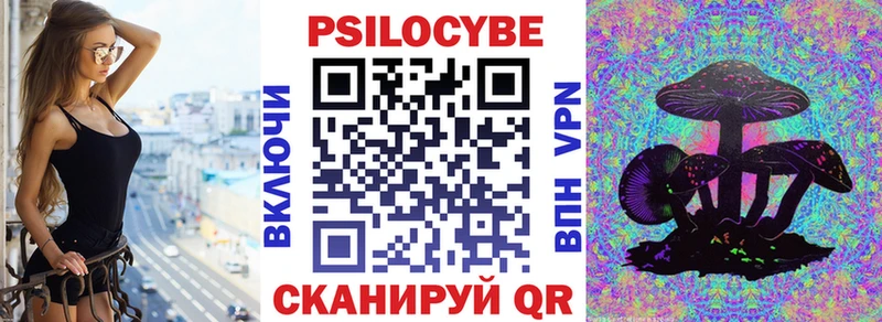 Галлюциногенные грибы Psilocybe  кракен ONION  Свободный 